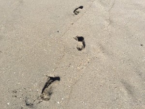 Footprints on Hollywood Beach